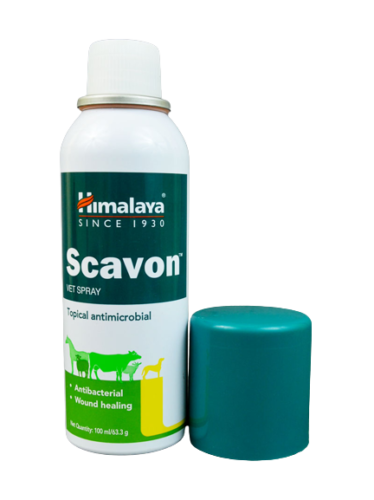 Picture of Cat Medication & Supplies 34