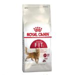 Cat food & Toys 242