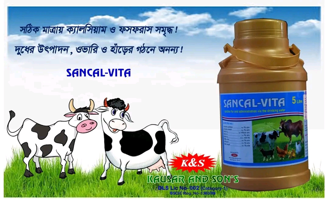 Picture of Calcium Supplement 61