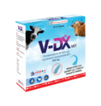 V DX vet 10×4  [Dummy Product for Testing]