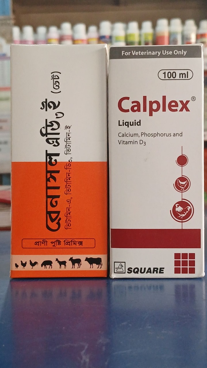 Picture of First Aid + Health Support 5