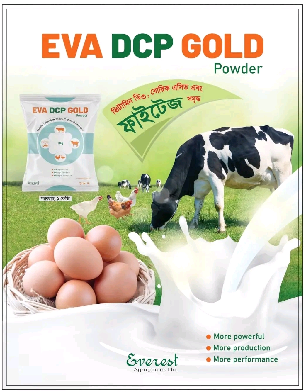 Picture of Calcium Supplement 101