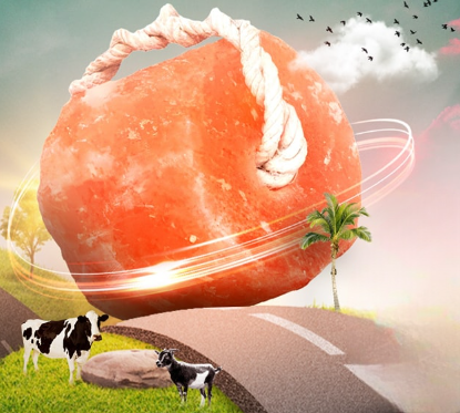 Picture of Vitamins & Minerals 255
